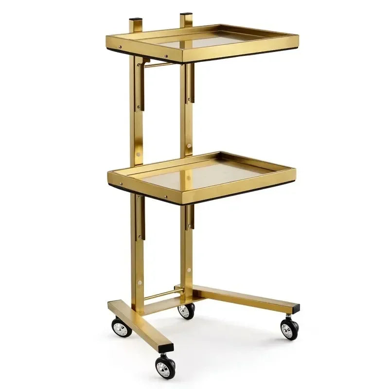 Carrito de acero inoxidable para salón de tatuajes, mueble de peluquería multicapa, carrito de herramientas de almacenamiento