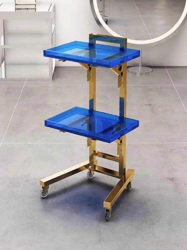 Carrito de acero inoxidable para salón de tatuajes, mueble de peluquería multicapa, carrito de herramientas de almacenamiento