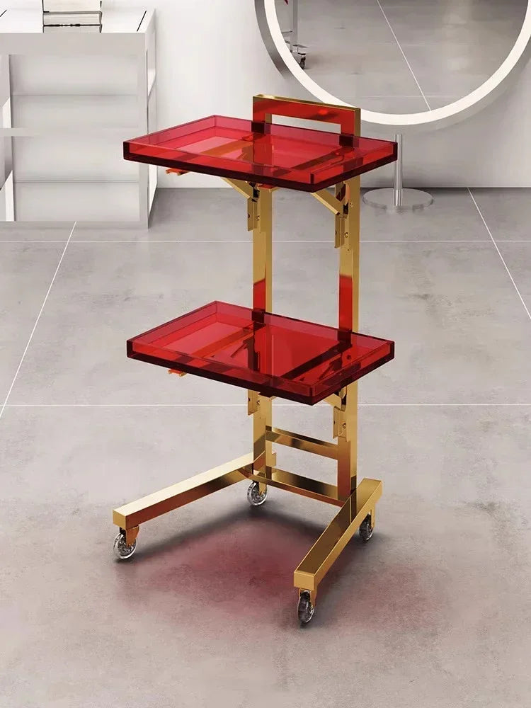 Carrito de acero inoxidable para salón de tatuajes, mueble de peluquería multicapa, carrito de herramientas de almacenamiento