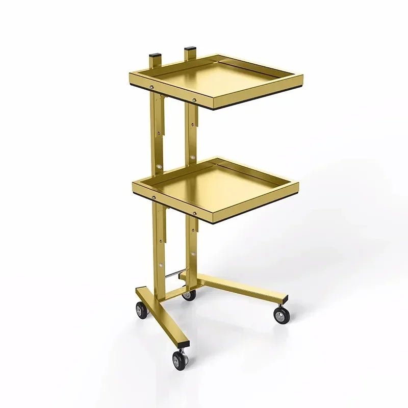 Carrito de acero inoxidable para salón de tatuajes, mueble de peluquería multicapa, carrito de herramientas de almacenamiento