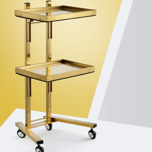 Carrito de acero inoxidable para salón de tatuajes, mueble de peluquería multicapa, carrito de herramientas de almacenamiento